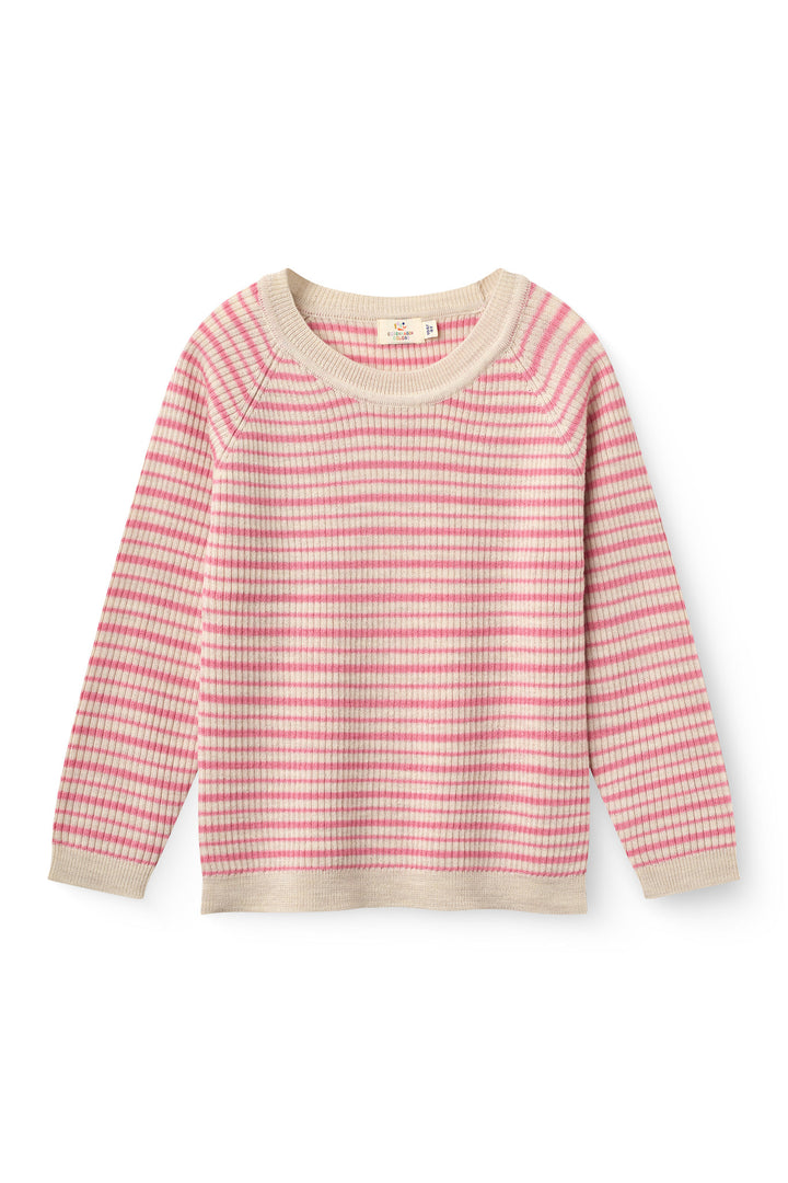 Merino Classic Rib Blouse - Blossom Pink Stripe
