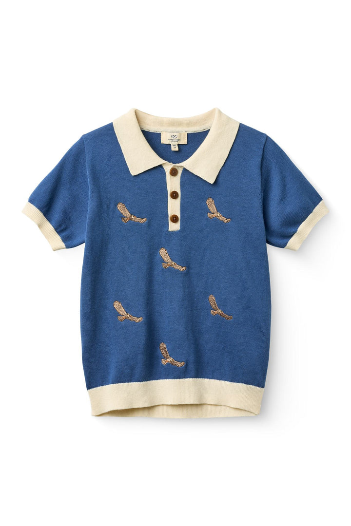 POLO W. EMBROIDERY - SHARP BLUE COMB.