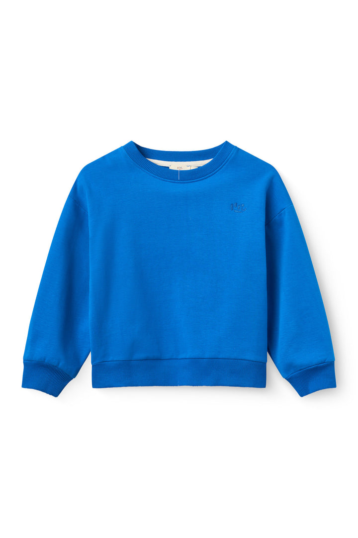 Classic Sweat Shirt - SHARP BLUE