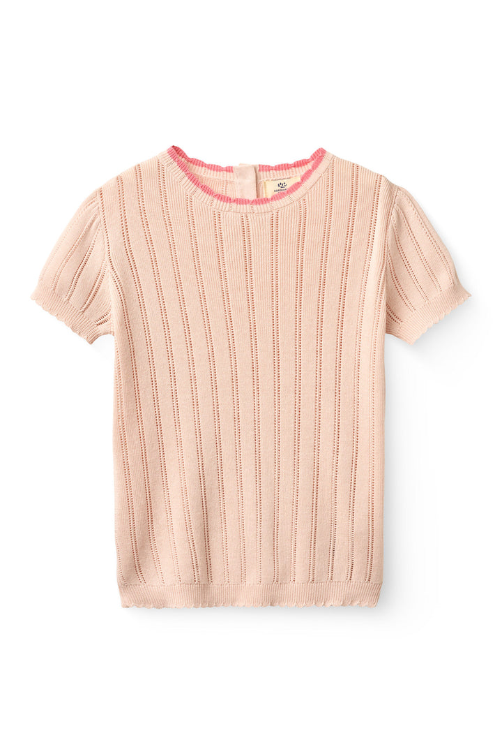 KNITTED POINTELLE SS BLOUSE - DUSTY ROSE
