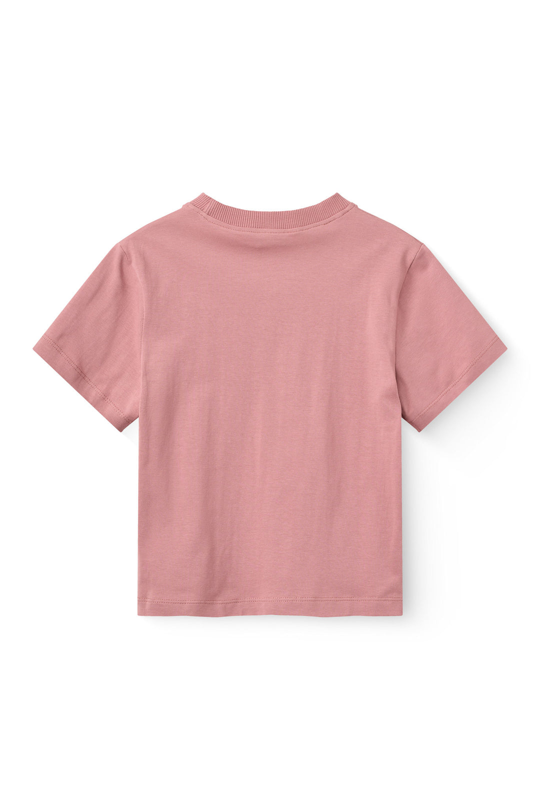 T-Shirt w. Embroidery - Winter Rose