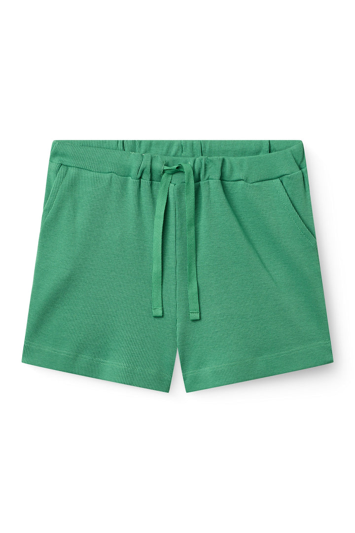 MODAL RIB SHORTS - SHARP GREEN