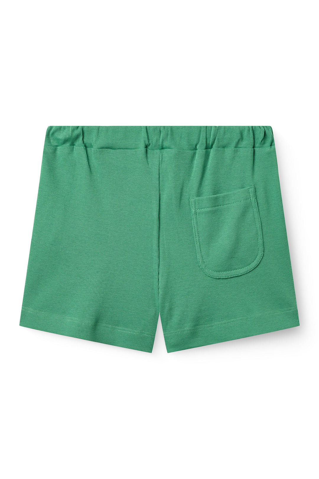 MODAL RIB SHORTS - SHARP GREEN