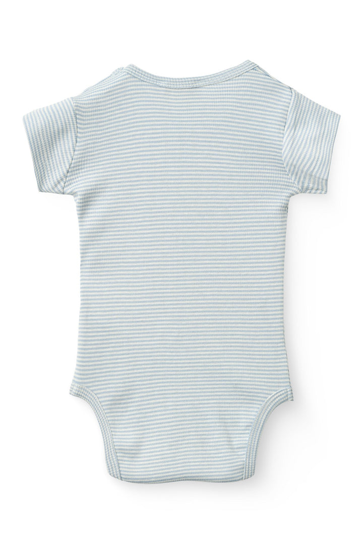 Stripe Modal RIb SS Body - Dusty Blue Stripe