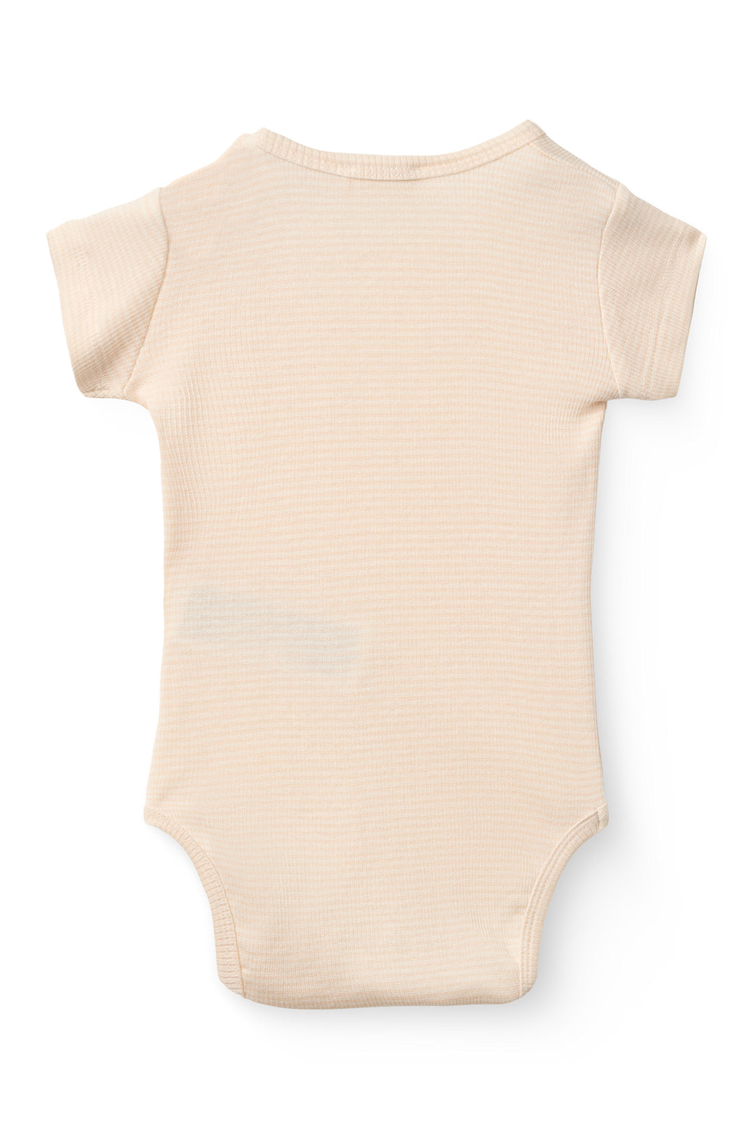 Stripe Modal RIb SS Body - Dusty Rose Stripe