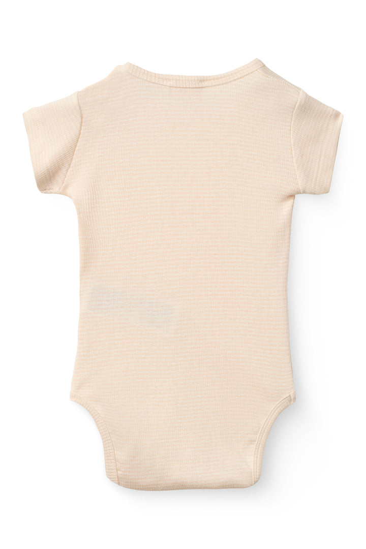 Stripe Modal RIb SS Body - Dusty Rose Stripe