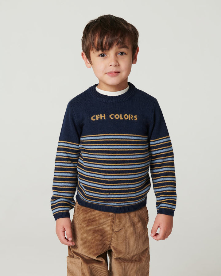 Striped Merino Sweater - Navy Comb.
