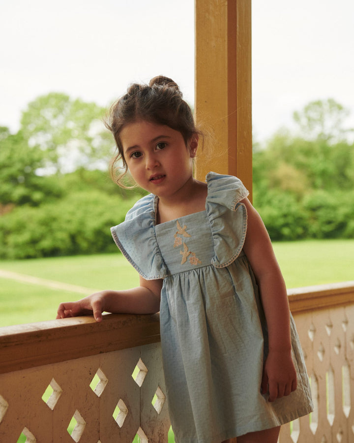 DRESS W. FRILL & EMB. - LT. BLUE COMB.