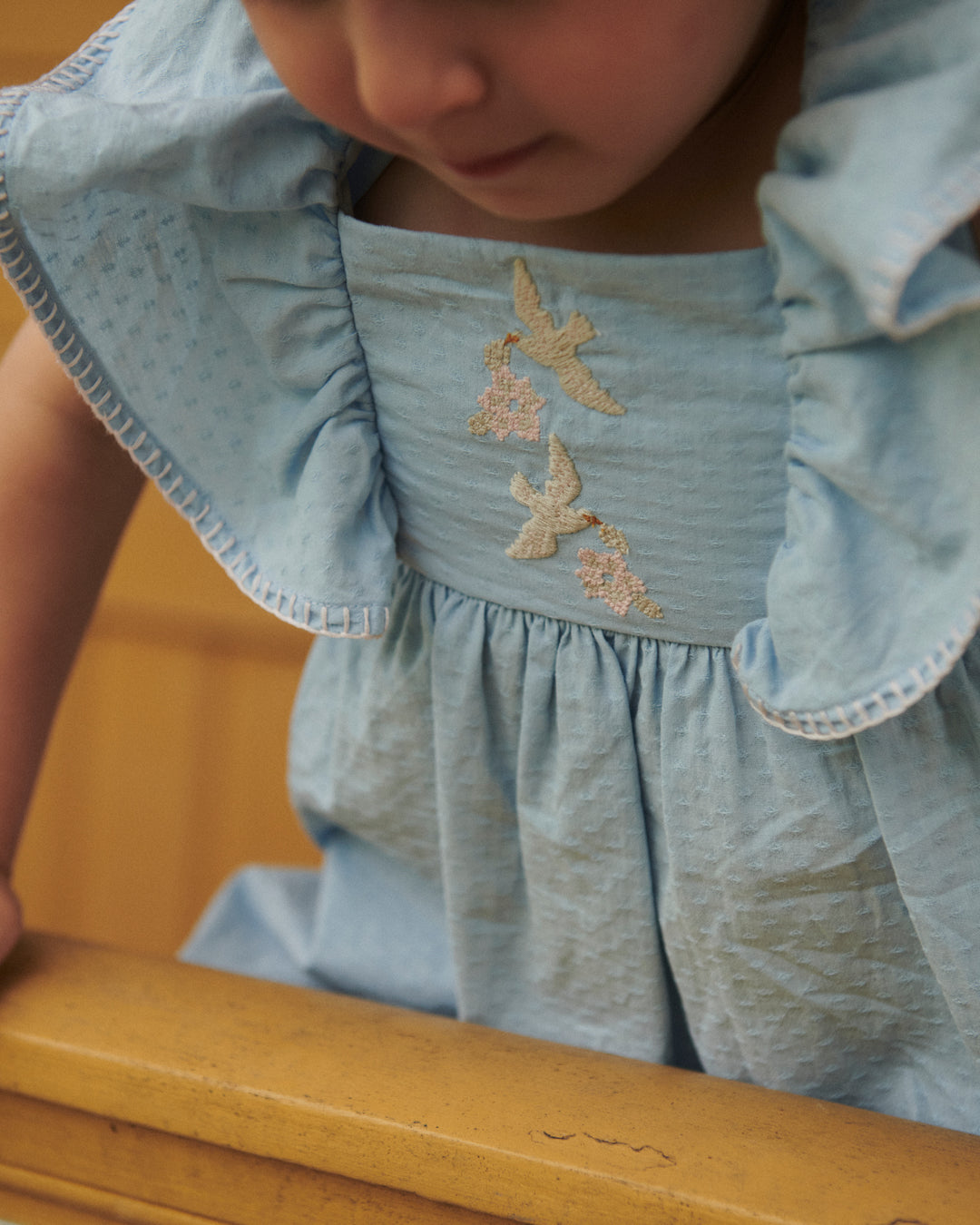 DRESS W. FRILL & EMB. - LT. BLUE COMB.