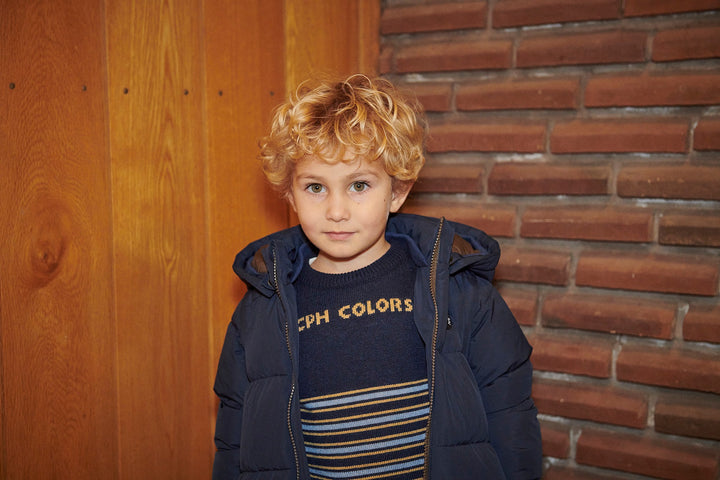 Striped Merino Sweater - Navy Comb.
